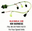 K41954HE.jpg